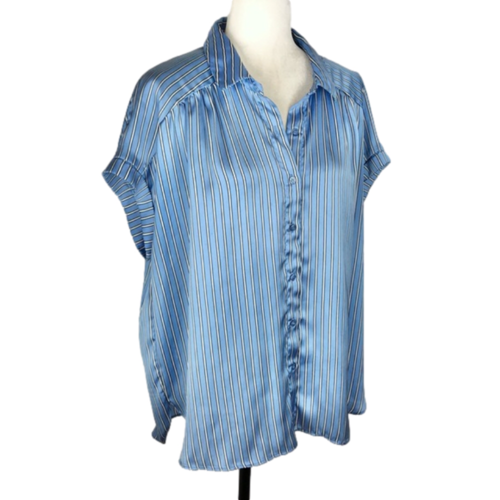 Tamara H blue striped shirt